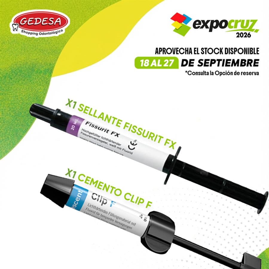 Combo Sellante Fissurit FX + Cemento Clip F
