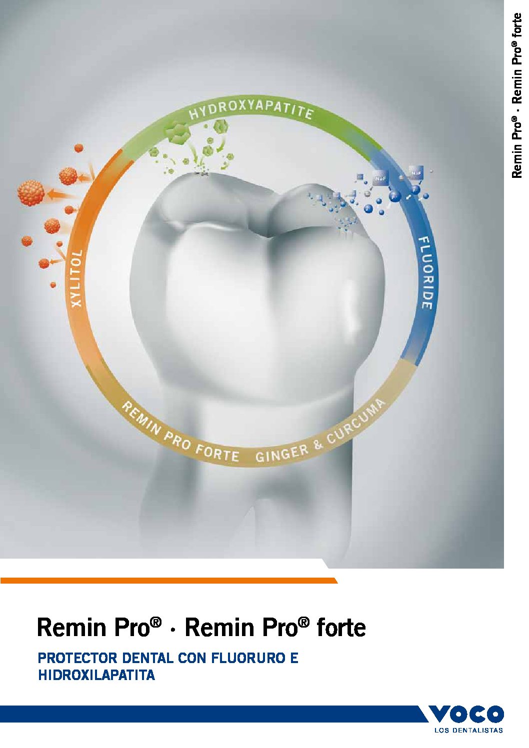 VOCO BARNIZ REMIN PRO 2005 TUBO - FRESA 1 Brochure Remin Pro PDF pdf