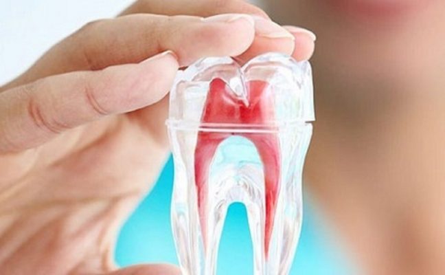 Lee más sobre el artículo Evolución de las limas rotativas de endodoncia